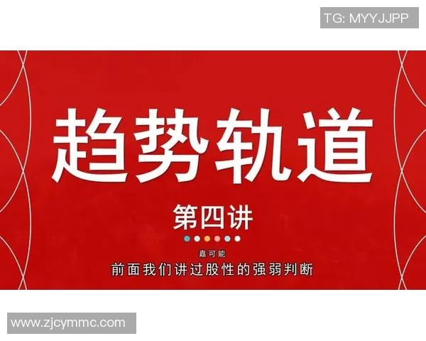 独家解读：杭州乒乓球队耐力对比及其影响因素分析