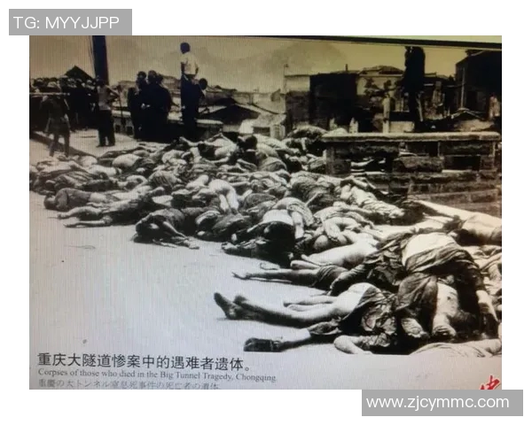 南京排球队转型纪实：从传统到现代的奋斗与蜕变之路